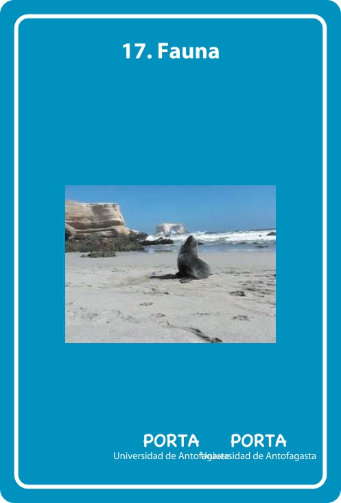 Portada Frontal